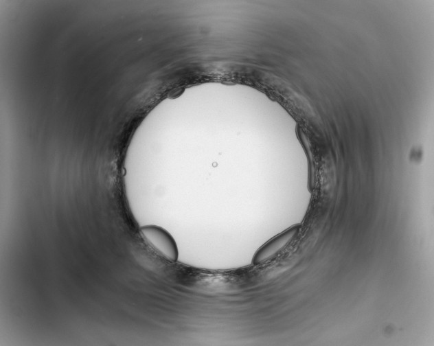 X0000101950611200808151254