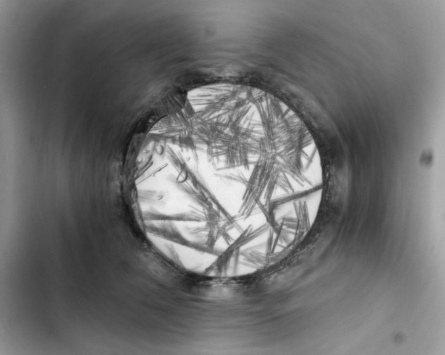 X0000101950612200808151254