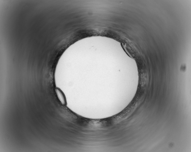 X0000101950613200808151254