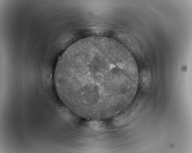 X0000101950615200808151254