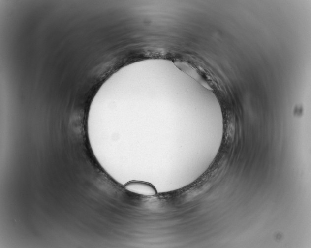 X0000101950616200808151254