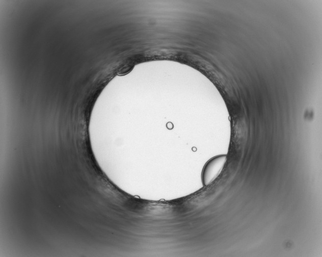 X0000101950617200808151254