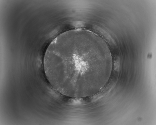 X0000101950618200808151254