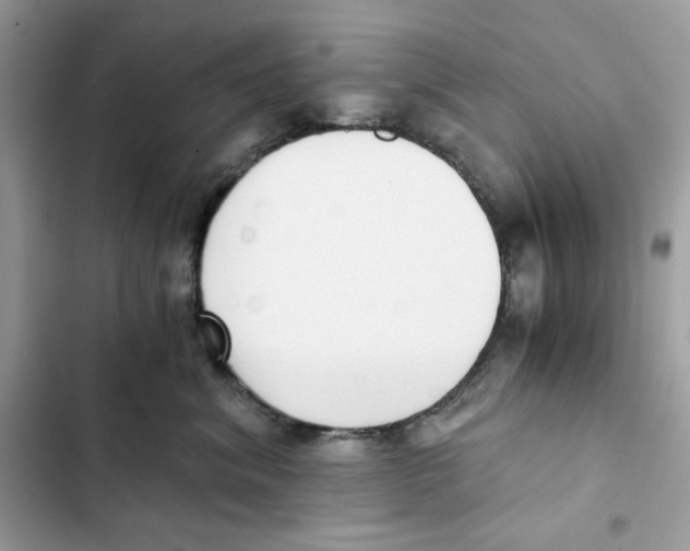 X0000101950620200808151254