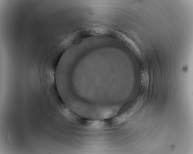 X0000101950621200808151254