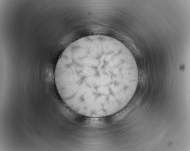 X0000101950622200808151254