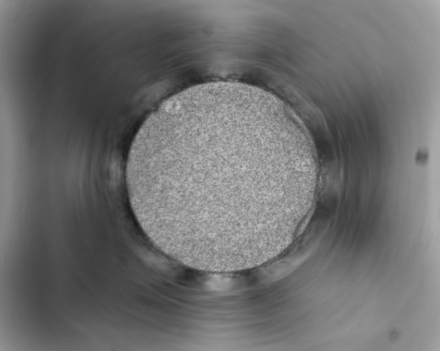 X0000101950623200808151254