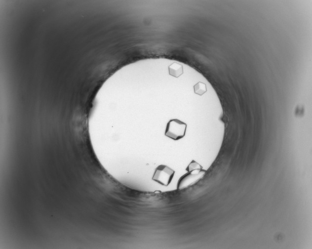 X0000101950624200808151254
