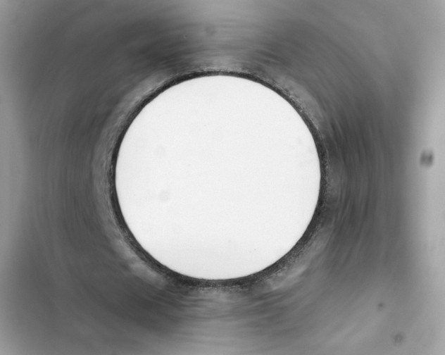 X0000101950625200808151253