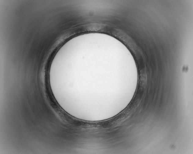 X0000101950626200808151253