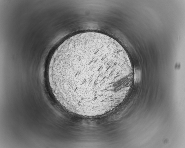 X0000101950627200808151253