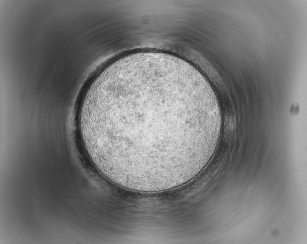 X0000101950628200808151253