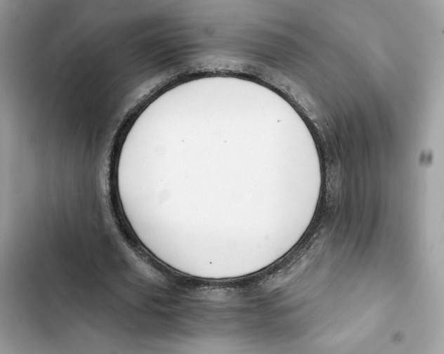 X0000101950629200808151253