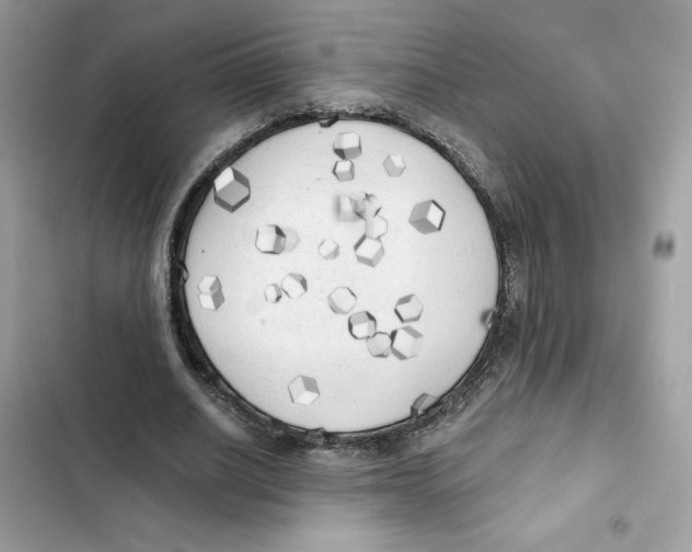 X0000101950630200808151253