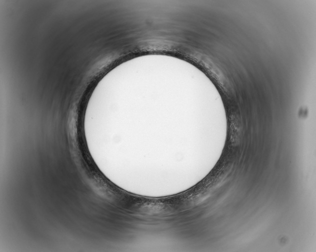 X0000101950631200808151253