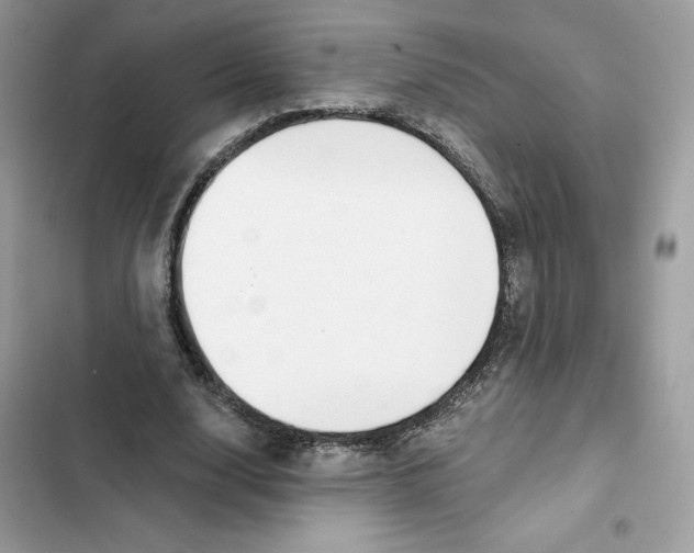 X0000101950632200808151253