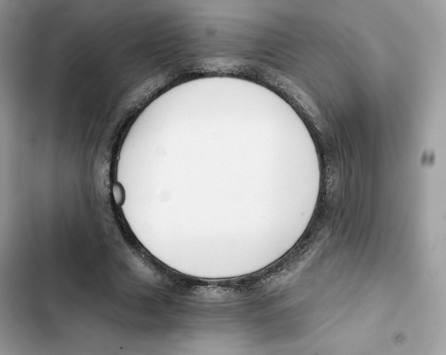 X0000101950633200808151253