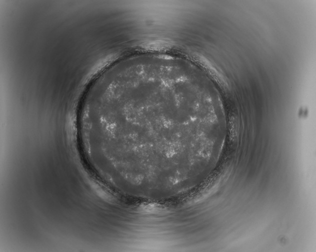X0000101950634200808151253