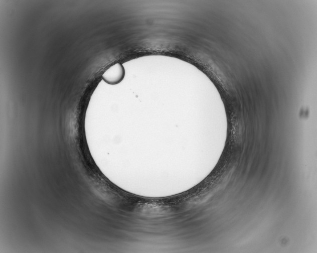 X0000101950635200808151253