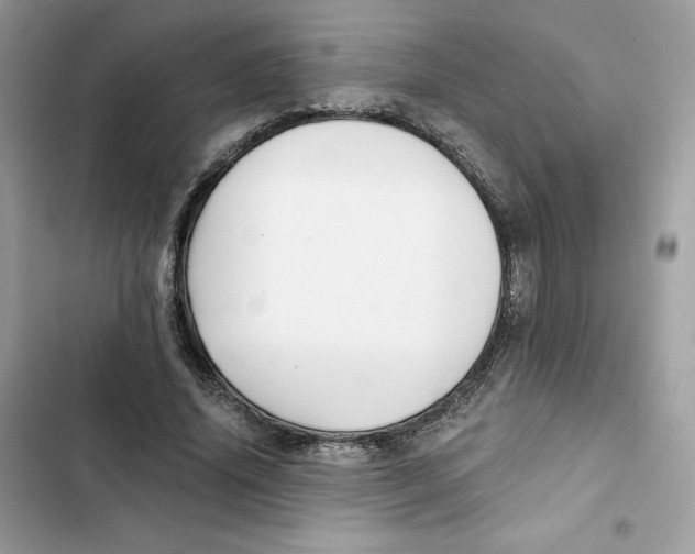 X0000101950636200808151253