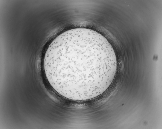 X0000101950638200808151253