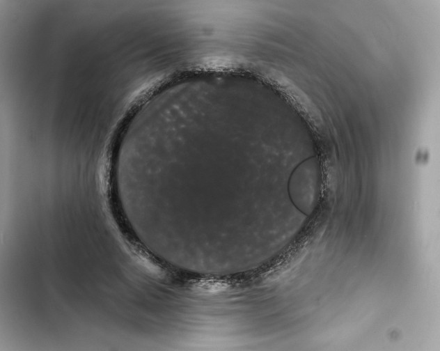 X0000101950640200808151253