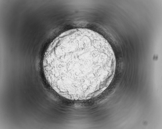 X0000101950641200808151253