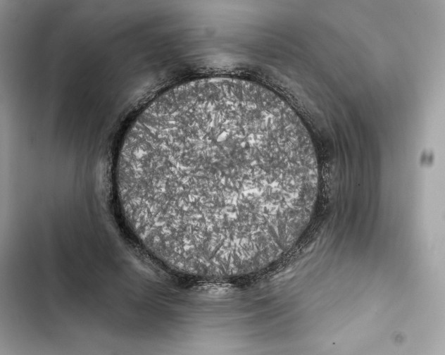 X0000101950642200808151253