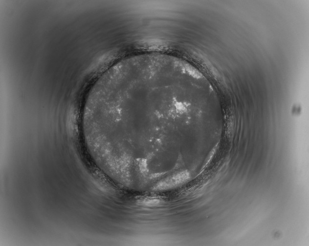 X0000101950643200808151253