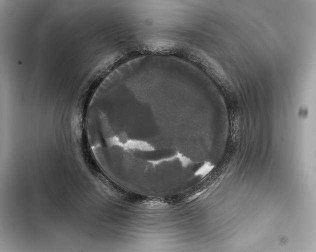 X0000101950644200808151253
