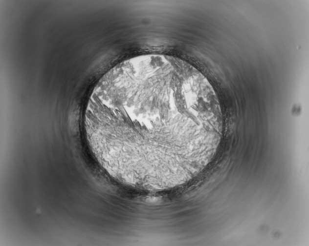 X0000101950647200808151253
