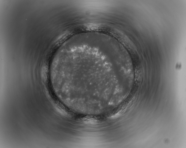 X0000101950648200808151253