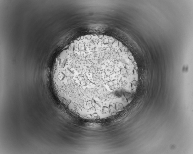X0000101950649200808151253