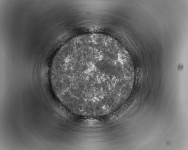 X0000101950650200808151254