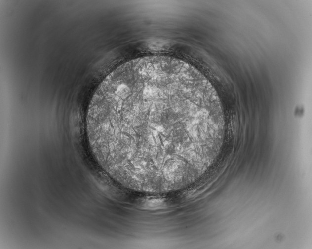 X0000101950651200808151254
