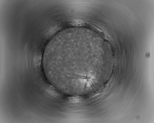 X0000101950652200808151254
