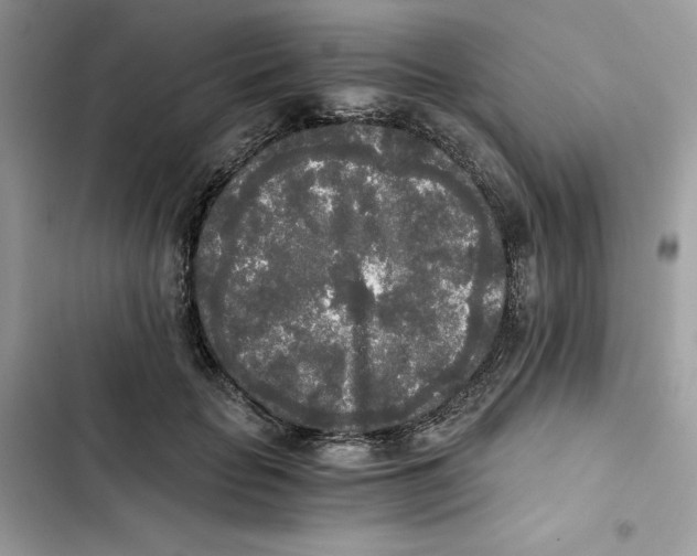 X0000101950653200808151254