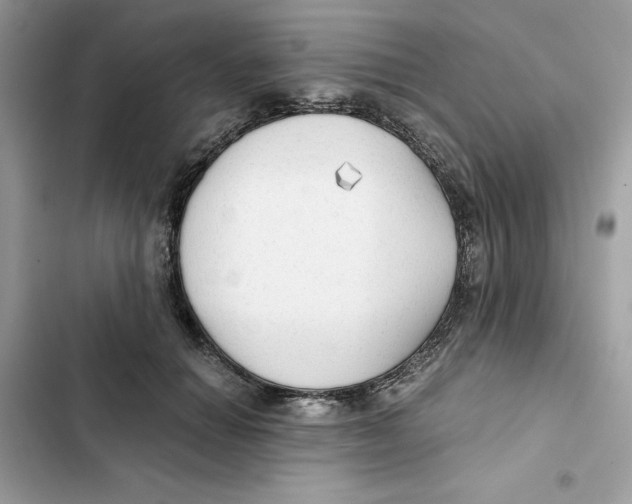 X0000101950654200808151254
