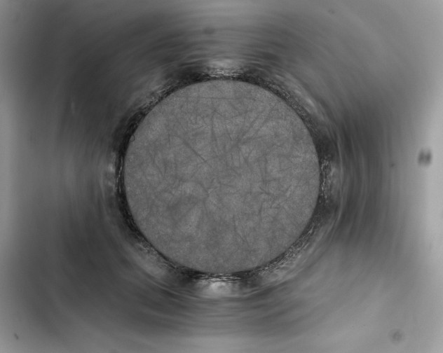X0000101950655200808151254
