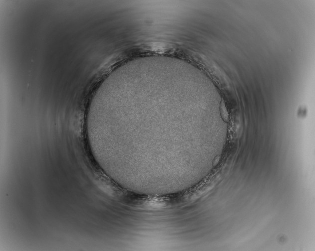 X0000101950656200808151254