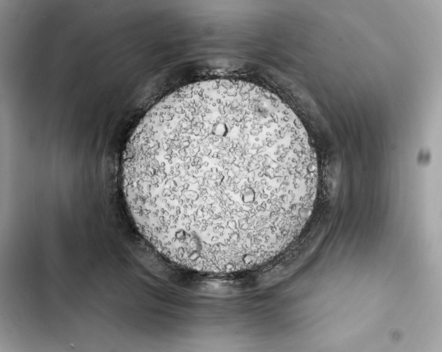 X0000101950657200808151254