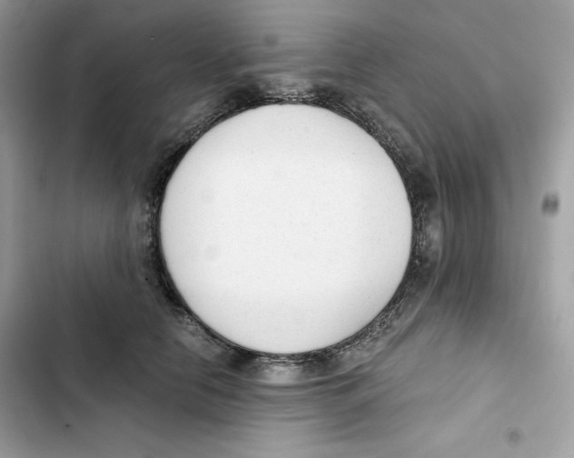 X0000101950658200808151254
