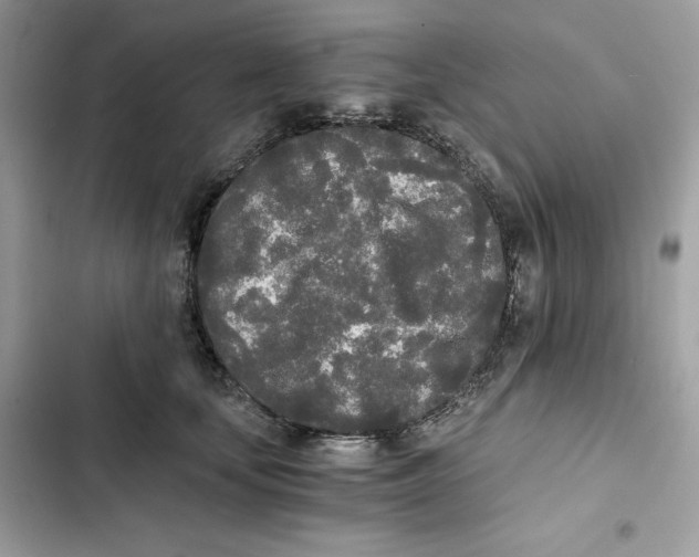 X0000101950659200808151254