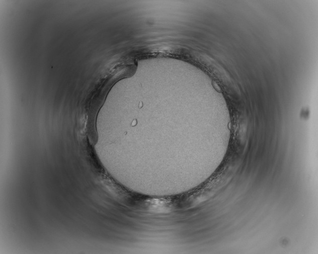 X0000101950660200808151254