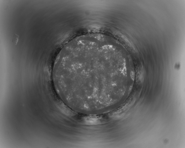 X0000101950661200808151254