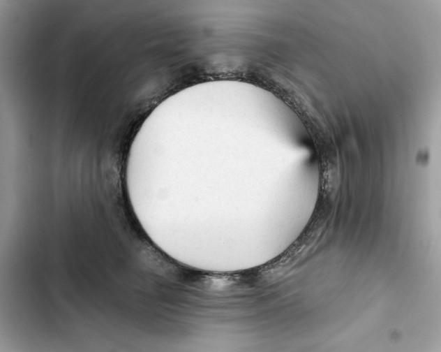 X0000101950662200808151254