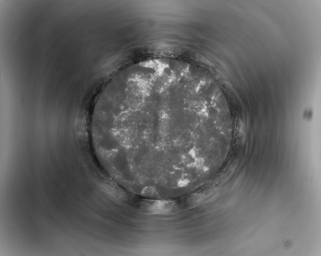 X0000101950663200808151254