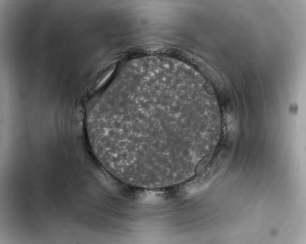 X0000101950664200808151254
