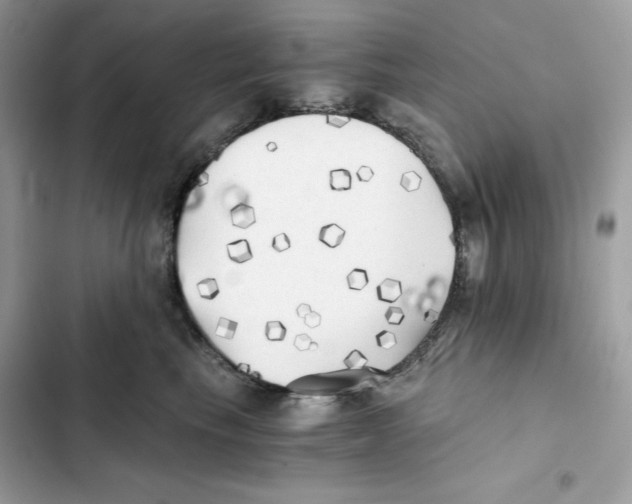 X0000101950665200808151254