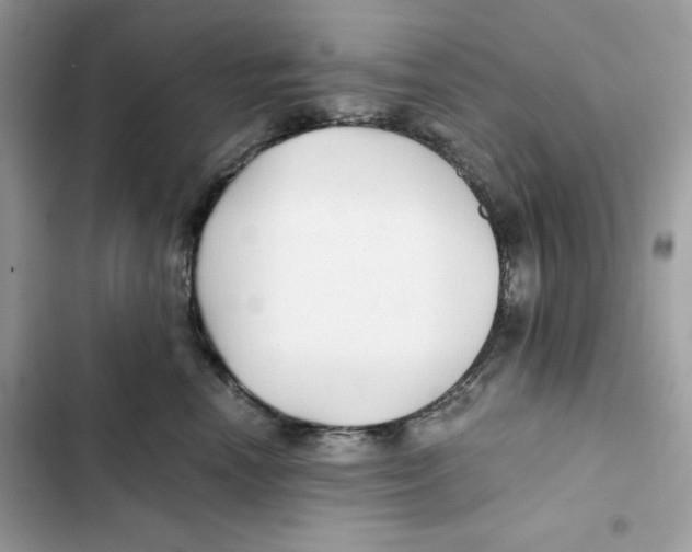 X0000101950666200808151254